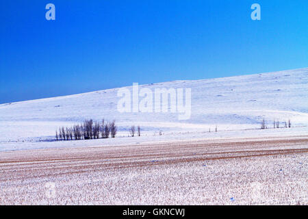 Winter-Szene in Hulun Buir, Innere Mongolei Stockfoto