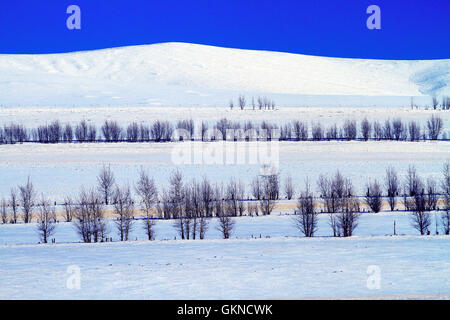 Winter-Szene in Hulun Buir, Innere Mongolei Stockfoto