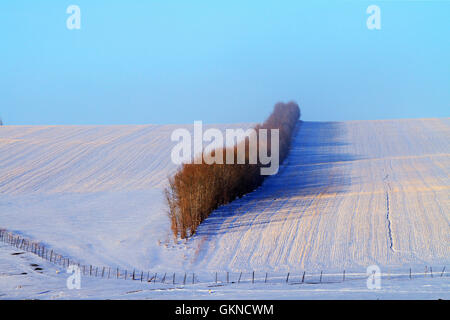 Winter-Szene in Hulun Buir, Innere Mongolei Stockfoto
