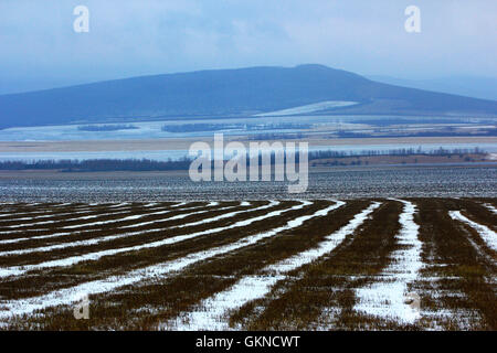 Winter-Szene in Hulun Buir, Innere Mongolei Stockfoto