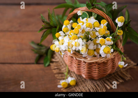 Bouquet von Gänseblümchen in einem Korb auf einem hölzernen Hintergrund Stockfoto