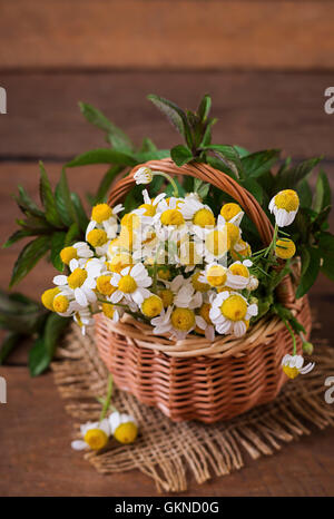 Bouquet von Gänseblümchen in einem Korb auf einem hölzernen Hintergrund Stockfoto