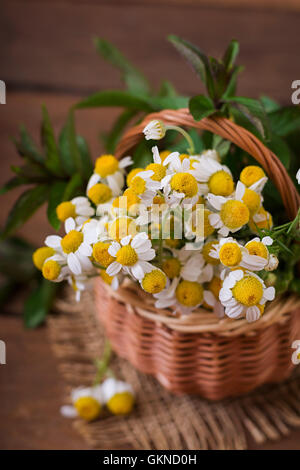 Bouquet von Gänseblümchen in einem Korb auf einem hölzernen Hintergrund Stockfoto