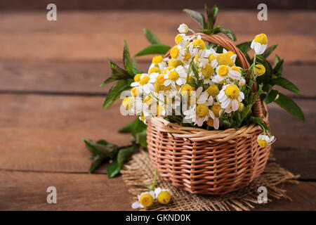 Bouquet von Gänseblümchen in einem Korb auf einem hölzernen Hintergrund Stockfoto