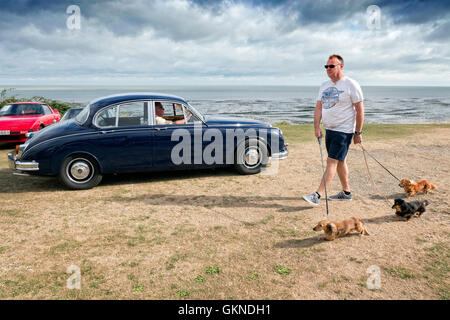 Autos auf dem Display auf Whitstable Classic Motor Show, Tankerton Pisten Kent UK Stockfoto