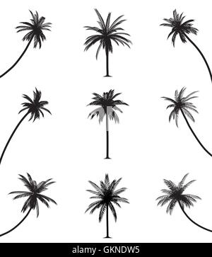 isolierte Baum Bäume Palmen Silhouette Palm Vector Silhouetten Blatt Objekt reisen Single groß groß Stock Vektor