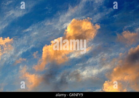 Morgenwolken im Dwingelderveld, Niederlande Stockfoto