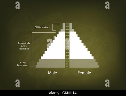 Bevölkerung und Demografie, Illustration der Detaillierungsgrad der Bevölkerung Pyramiden Diagramm oder Altersstruktur auf Tafel Hintergrund grafisch darstellen. Stock Vektor