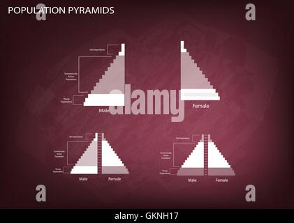 Bevölkerung und Demografie, Illustration der Detaillierungsgrad der Bevölkerung Pyramiden Diagramm oder Altersstruktur auf Tafel Hintergrund grafisch darstellen. Stock Vektor