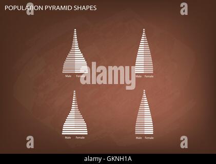 Bevölkerung und Demografie, Illustration von 4 Arten von Bevölkerung Pyramiden Diagramm oder Altersstruktur auf Tafel Hintergrund grafisch darstellen. Stock Vektor