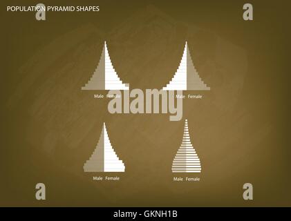 Bevölkerung und Demografie, Illustration von 4 Arten von Bevölkerung Pyramiden Diagramm oder Altersstruktur auf Tafel Hintergrund grafisch darstellen. Stock Vektor