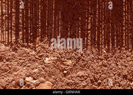 Trockene Erde Hintergrund geknackt Stockfoto
