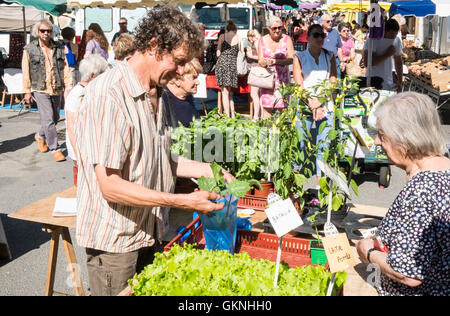 In Esperaza Sonntag Markt, Aude, Südfrankreich. Eine beliebte alternative, Hippie, Hippie mit frischen Speisen und ethnischen waren sammeln Stockfoto