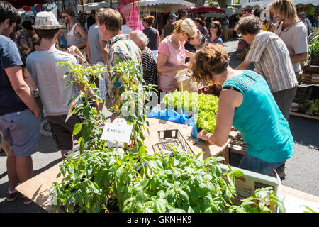 In Esperaza Sonntag Markt, Aude, Südfrankreich. Eine beliebte alternative, Hippie, Hippie mit frischen Speisen und ethnischen waren sammeln Stockfoto