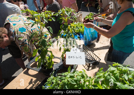 In Esperaza Sonntag Markt, Aude, Südfrankreich. Eine beliebte alternative, Hippie, Hippie mit frischen Speisen und ethnischen waren sammeln Stockfoto