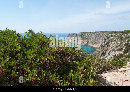 Formentera: Blick auf Mittelmeer und die mediterrane Macchia, gesehen von La Mola Klippe an der äußersten östlichen Zipfel der Insel Stockfoto