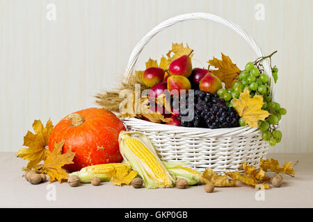 Thanksgiving Day. Stillleben mit Kürbis und Mais, Trauben und Nüssen, Äpfeln und Birnen. Stockfoto