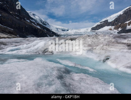 Stream der Gletscher schmelzen am Athabasca Gletscher im Frühsommer Stockfoto