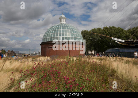 Greenwich, London, UK. 21. August 2016, verschiedene Gräser durch die Cutty Sark in Greenwic Credit: Keith Larby/Alamy Live News Stockfoto