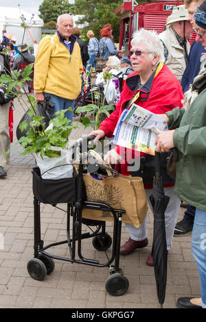 Versierte Käufer, Southport, Merseyside, England. 21. August 2016: wie das gute Wetter über der Southport Flower Show kehrt zurück Stockfoto