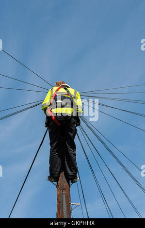 Britische Telekommunikation Ingenieur arbeiten an einen Telegrafenmast in Bath City UK Stockfoto