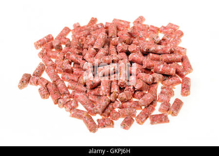 Poison rodents mice and rats on a white background Stockfoto