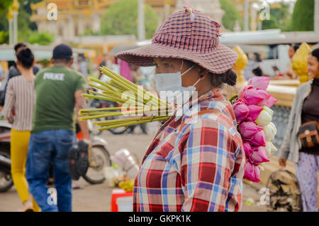 Lotus Blumen Anbieter in einem hart umkämpften Markt von Phnom Penh, Kambodscha. 30. August 2015 Stockfoto