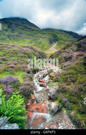 Ein Wasserfall Kaskadierung zum Fluss Coe in Glencoe in der schottischen higlhands Stockfoto