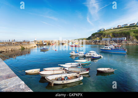 Der Hafen von Mevagissey an der südlichen Küste von Cornwall Stockfoto