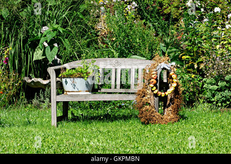 Alten Holzbank Gartenbank mit Äpfeln und Pflanze Dekoration Stockfotografie