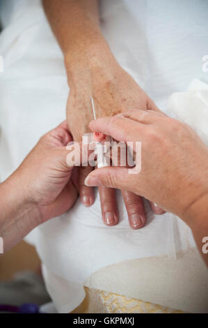 Verpleegkundigen Sluiten Een Infuus Aan Bij de Patienten. De Verpleegkundige Brengt de Infuus Naald in. Vorbereitung einer iv für Krankenschwestern Stockfoto