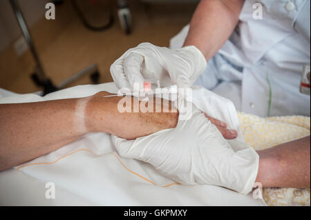 Verpleegkundigen Sluiten Een Infuus Aan Bij de Patienten. De Verpleegkundige Brengt de Infuus Naald in. Vorbereitung einer iv für Krankenschwestern Stockfoto