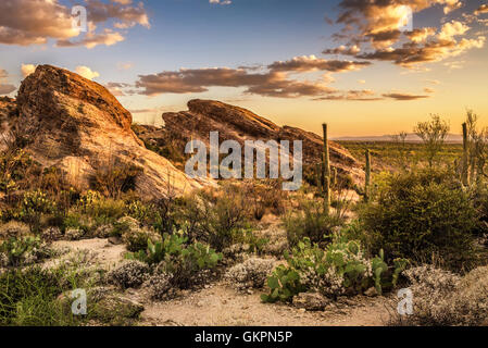 Sonnenuntergang über Javelina Felsen im Saguaro National Park East in der Nähe von Tucson, Arizona Stockfoto