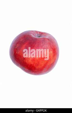Cortland Apfel Stockfoto