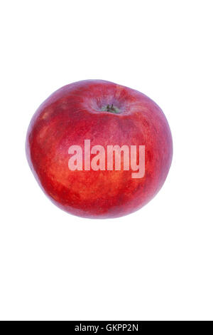 Cortland Apfel Stockfoto