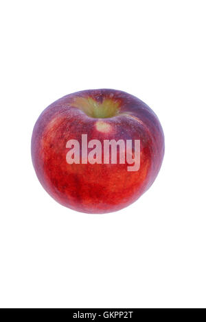 Cortland Apfel Stockfoto