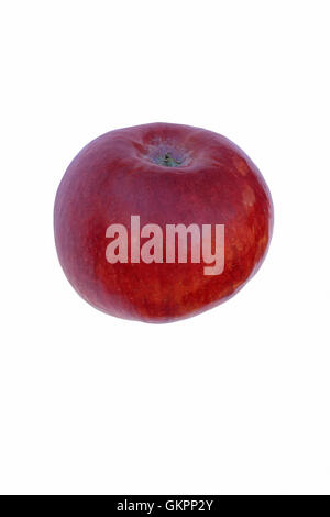 Cortland Apfel Stockfoto