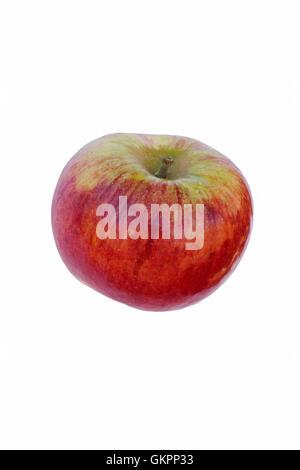 Cortland Apfel Stockfoto