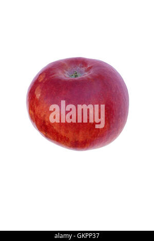 Cortland Apfel Stockfoto