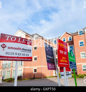 Immobilienmakler Boards, Appartements, Wohnungen und Wohneigentum zu lassen, Nottinghamshire, England, Großbritannien Stockfoto