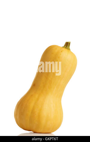 Butternut-Kürbis auf weißem Hintergrund Stockfoto