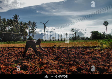 Indischen Bauern arbeiten Stockfoto