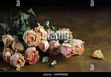 Foto von getrockneten rosa Rosen auf dunklen braunen Hintergrund Stockfoto