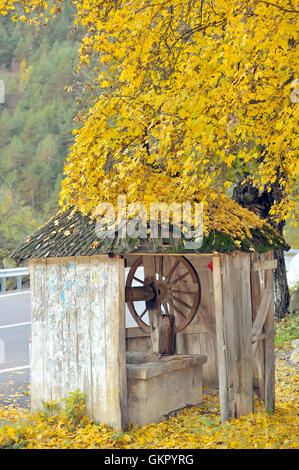 Land aus Holz zeichnen auch im Herbst Stockfoto