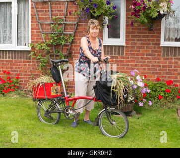 Frau mit Brompton Fahrrad beladen mit Zwiebeln aus Schrebergarten England UK Stockfoto