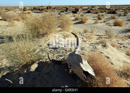 Aralkum Wüste mit verrosteten Schiffen im Hintergrund auf dem ehemaligen Meeresboden an der Aral-See in der Nähe von Moynaq, Usbekistan. Stockfoto