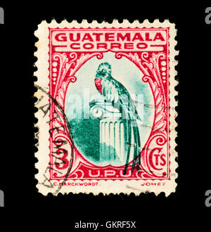 Briefmarke aus Guatemala Darstellung einen Quetzal. Stockfoto