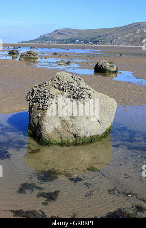 Eiszeitliche Findlinge am Westufer des Sees, Llandudno, Conwy, Wales. Großes Orme Landzunge im Abstand Stockfoto