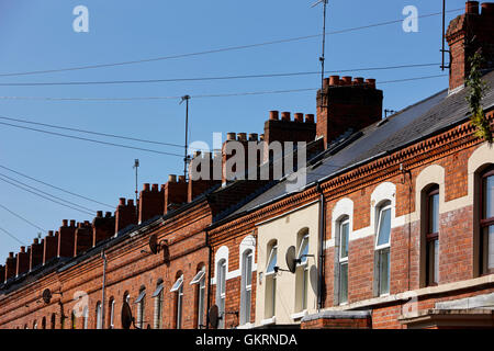 Reihen von Schornsteinen auf roten Backstein viktorianischen Reihenhaus Reihenhäuser Rushfield Avenue South Belfast Nordirland Stockfoto