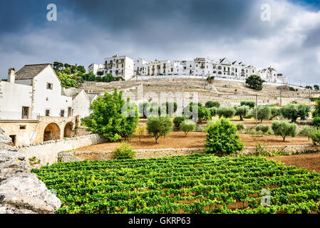 Locorotondo, Italien. Panoramablick über Whitwashed Stadt in der italienischen Region Apulien (Apulien). Stockfoto